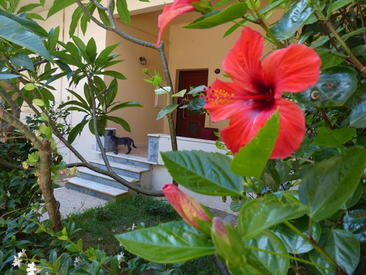 Avgi Garden House Chania With Private Entrance Exterior photo