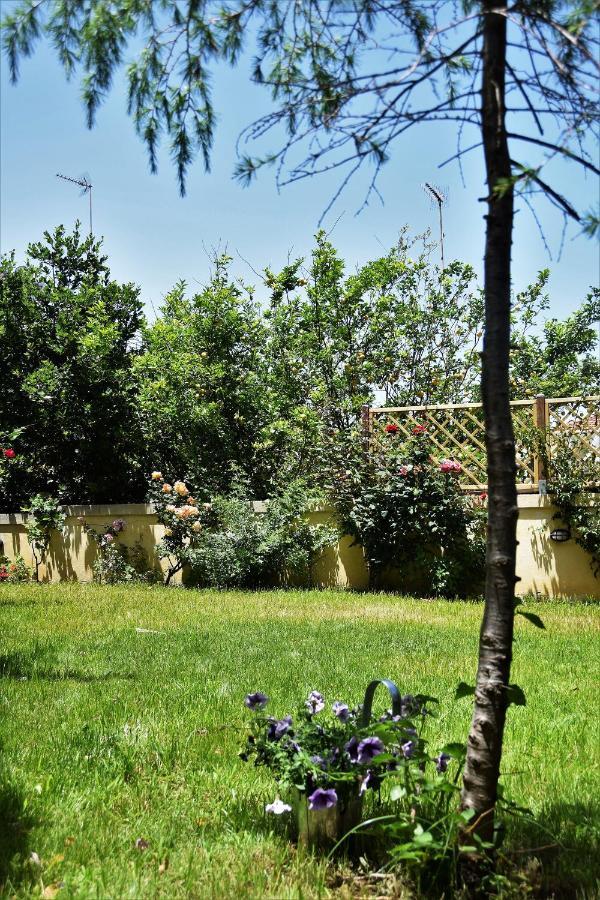 Avgi Garden House Chania With Private Entrance Exterior photo